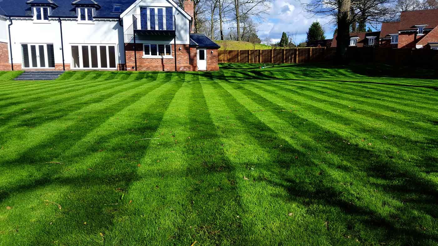 Background displaying a freshly cut lawn